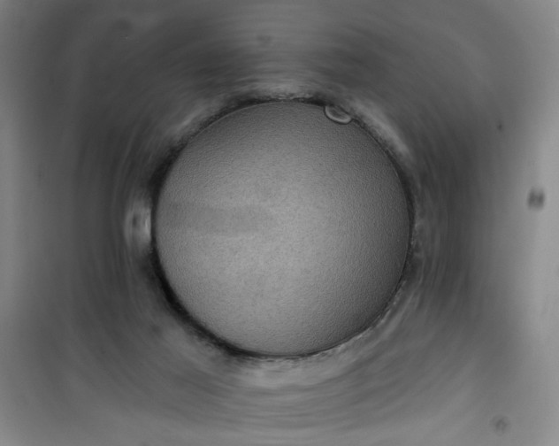 X0000101140021200807110953