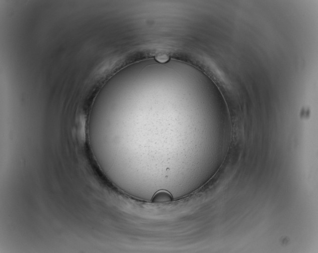 X0000101140022200807110953