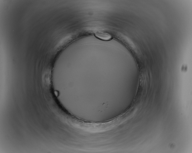 X0000101140023200807110953