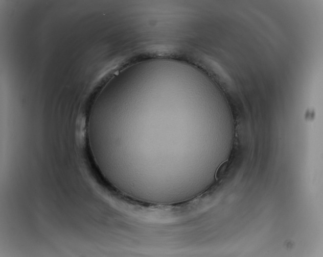 X0000101140024200807110953