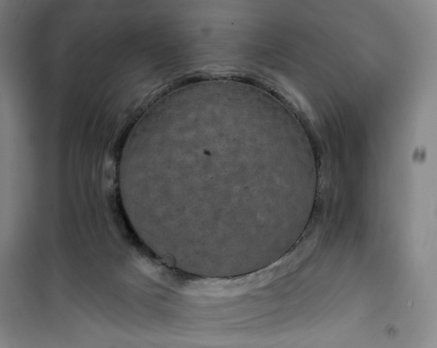 X0000101140025200807110953