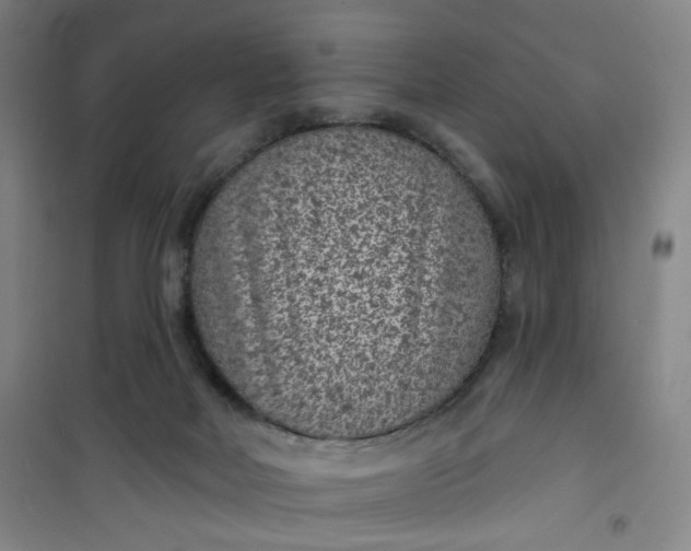 X0000101140026200807110953