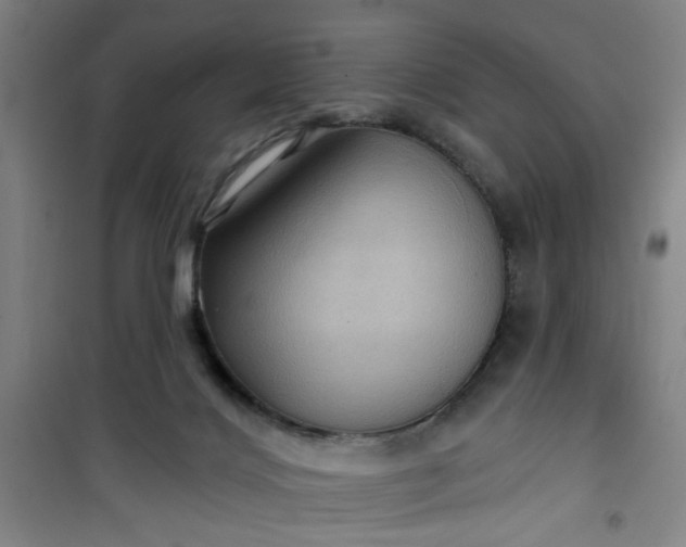 X0000101140028200807110953