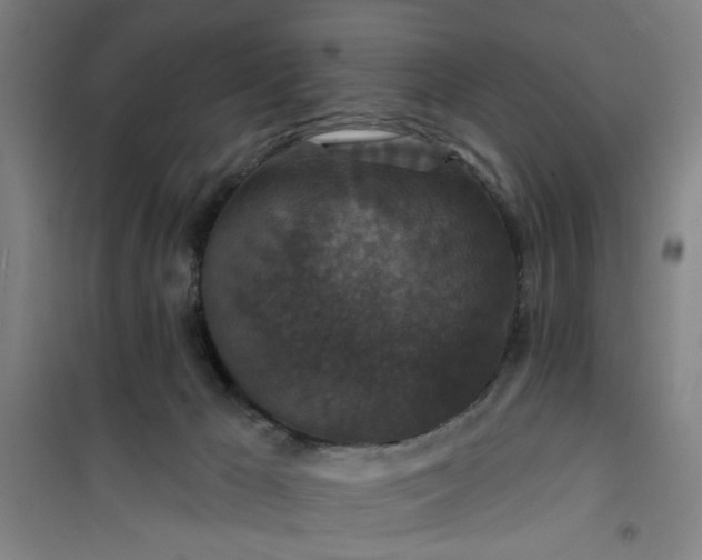 X0000101140029200807110953