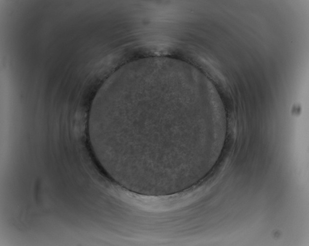 X0000101140030200807110953