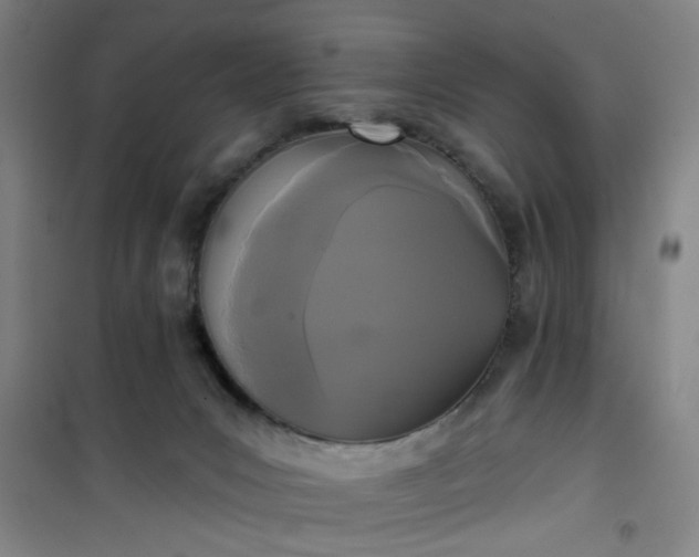 X0000101140031200807110953