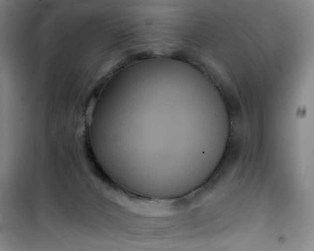 X0000101140032200807110953