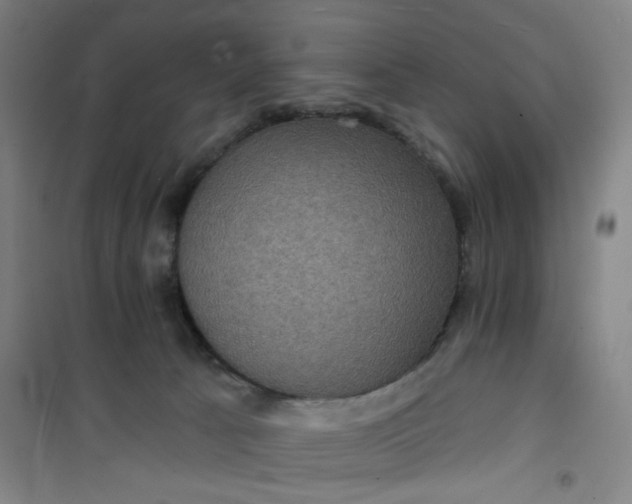 X0000101140033200807110953