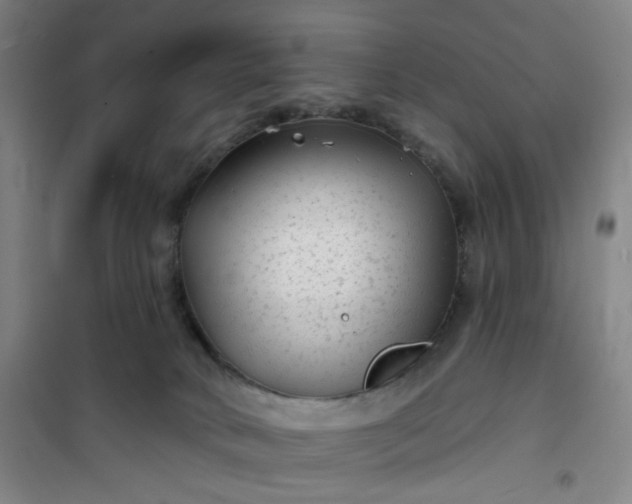 X0000101140034200807110953