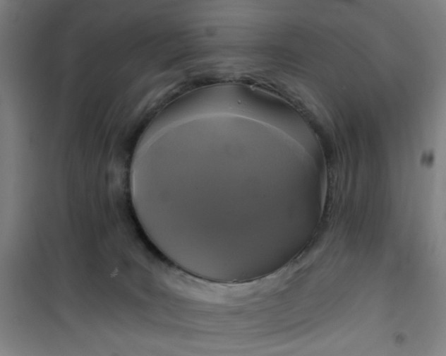 X0000101140035200807110953