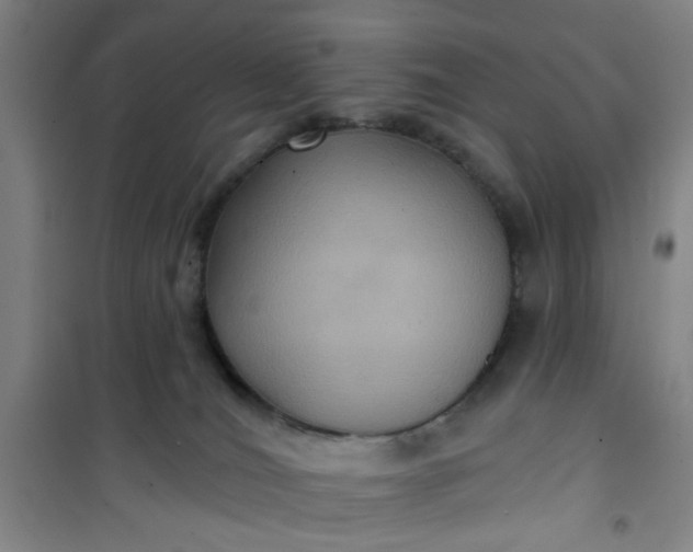 X0000101140036200807110953