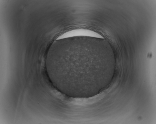 X0000101140037200807110953