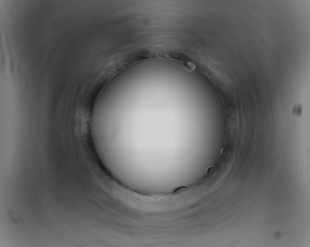 X0000101140038200807110953