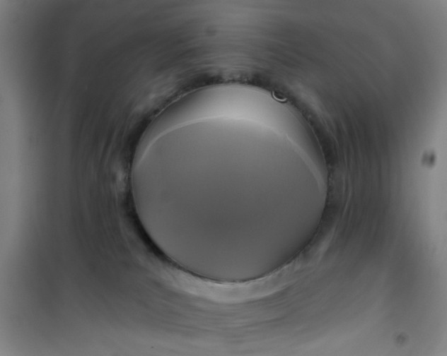 X0000101140039200807110953