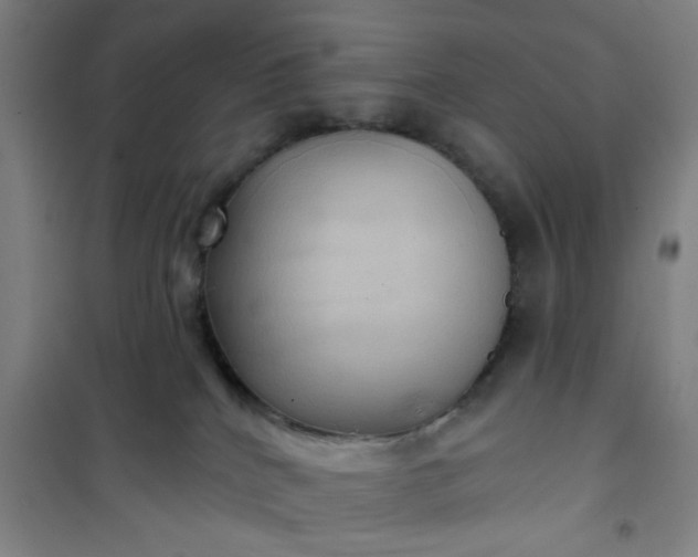 X0000101140040200807110953