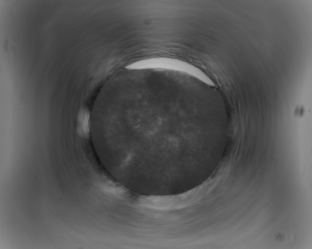 X0000101140041200807110953