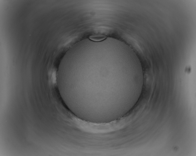 X0000101140042200807110953