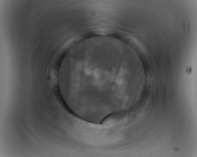 X0000101140043200807110953