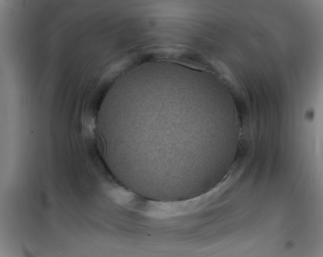 X0000101140045200807110953