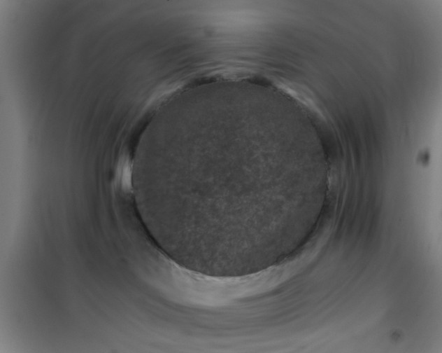 X0000101140046200807110953