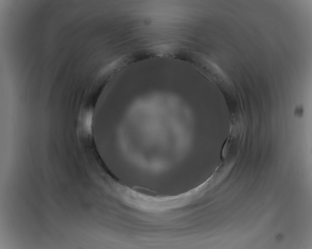 X0000101140047200807110953