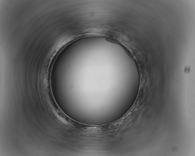 X0000101140050200807110952