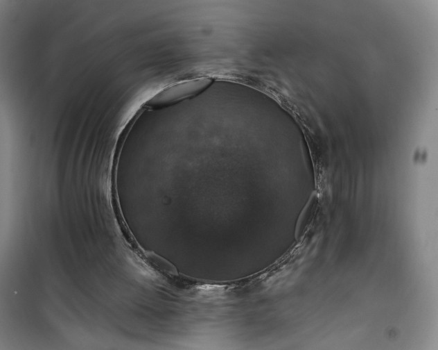 X0000101140052200807110952