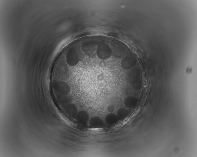 X0000101140053200807110952