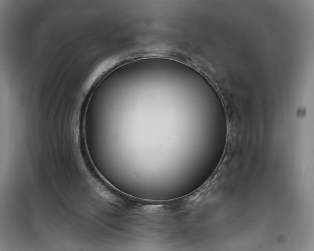 X0000101140054200807110952