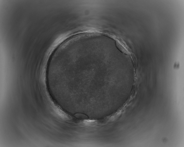 X0000101140055200807110952