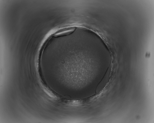 X0000101140056200807110952