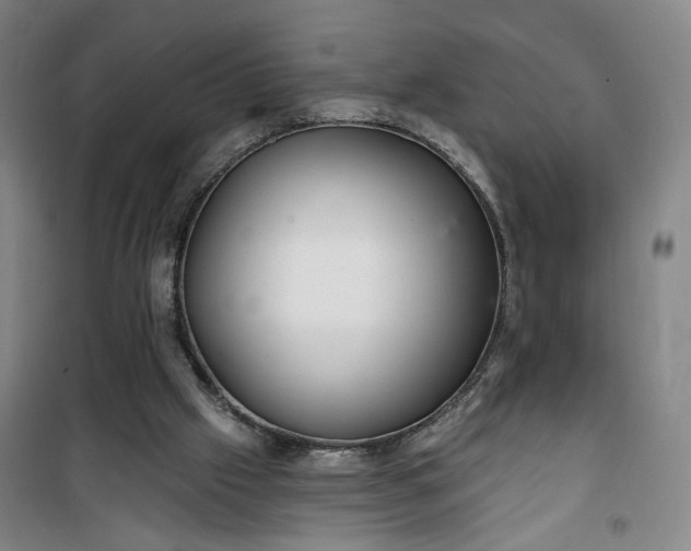 X0000101140057200807110952