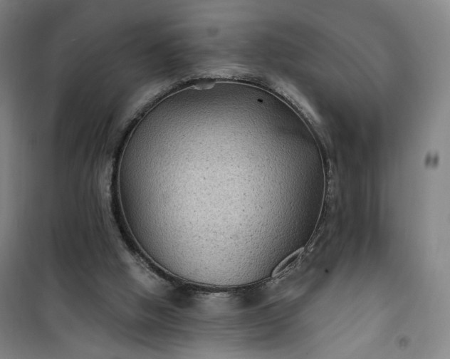 X0000101140058200807110952