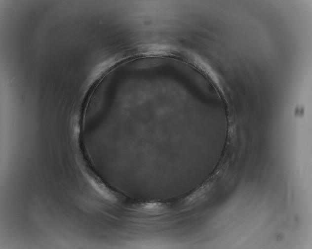 X0000101140059200807110952