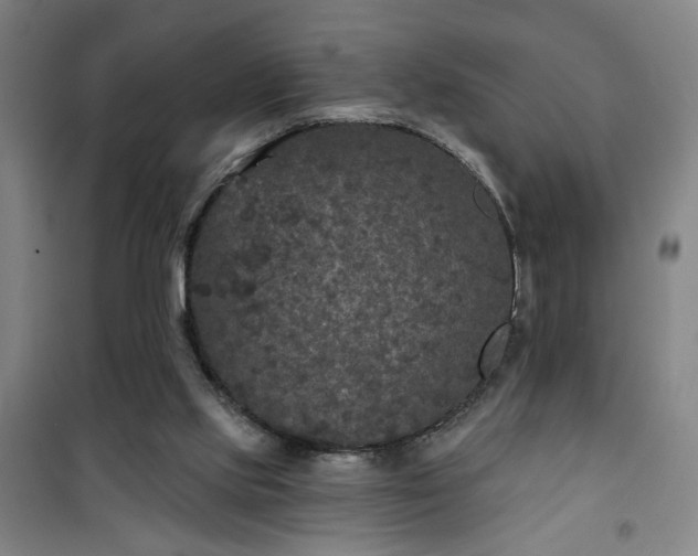 X0000101140061200807110952