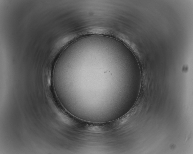 X0000101140062200807110952