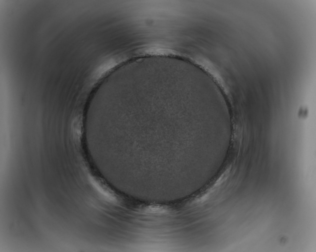 X0000101140063200807110952