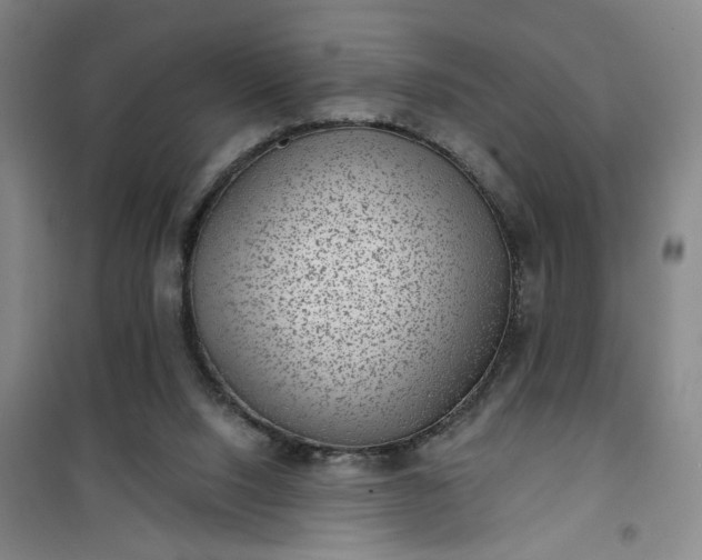 X0000101140064200807110952