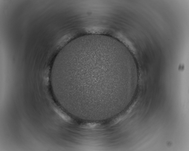 X0000101140065200807110952