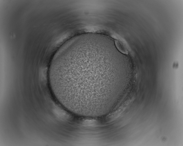 X0000101140066200807110952