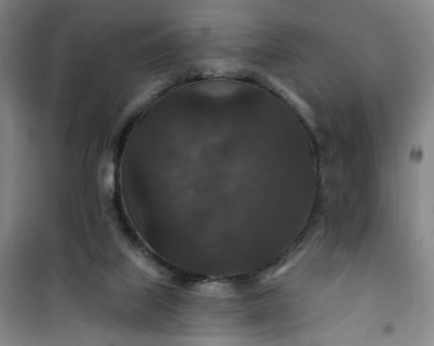 X0000101140067200807110952