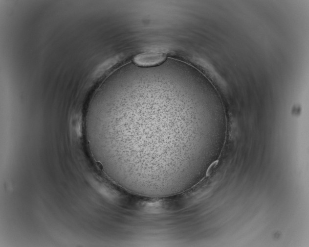 X0000101140068200807110952