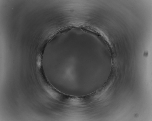 X0000101140069200807110952