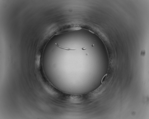 X0000101140070200807110952