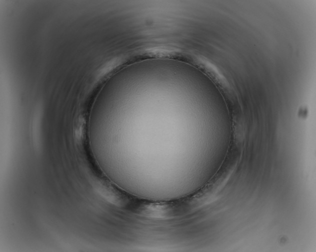 X0000101140071200807110952