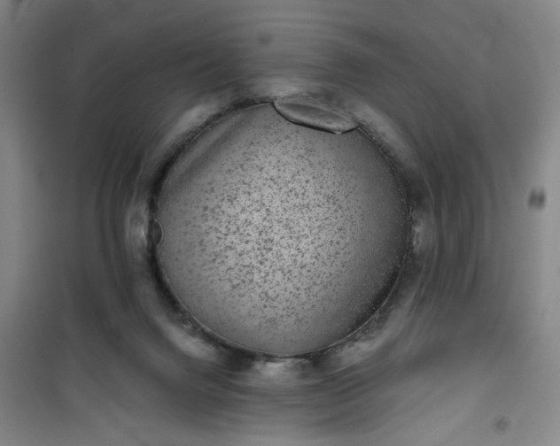 X0000101140072200807110952