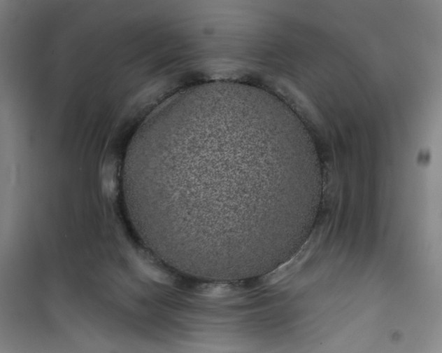 X0000101140074200807110952