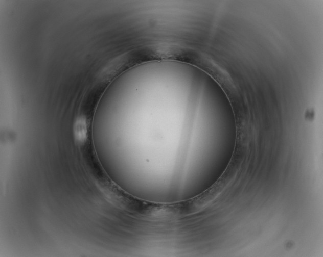 X0000101140075200807110952