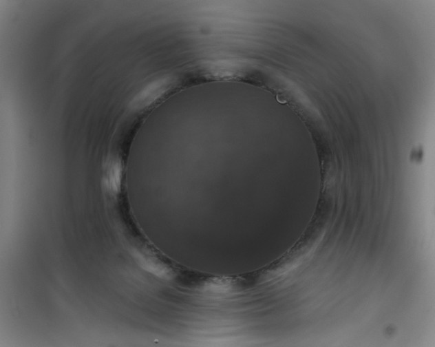 X0000101140076200807110952