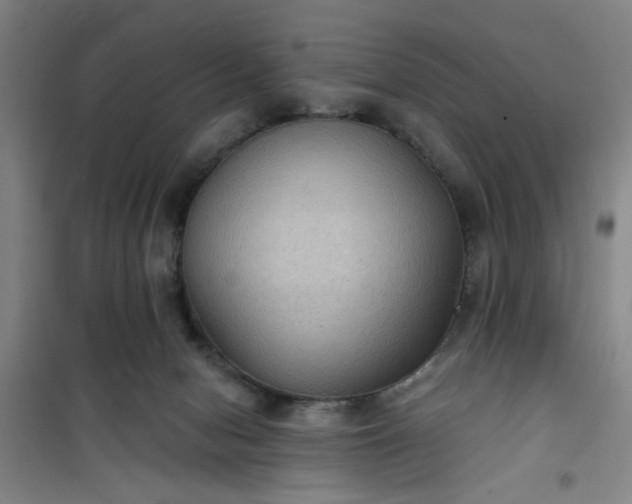 X0000101140078200807110952